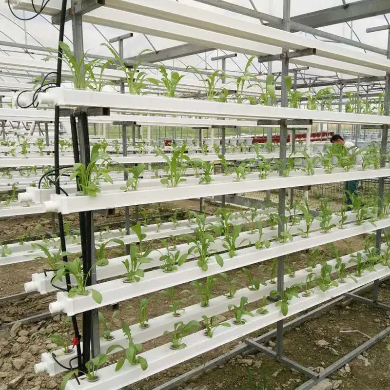 Sistemas Hidropónicos Verticales NFT