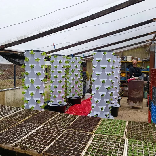 Commercial Vertical Hydroponic Towers Growing Systems