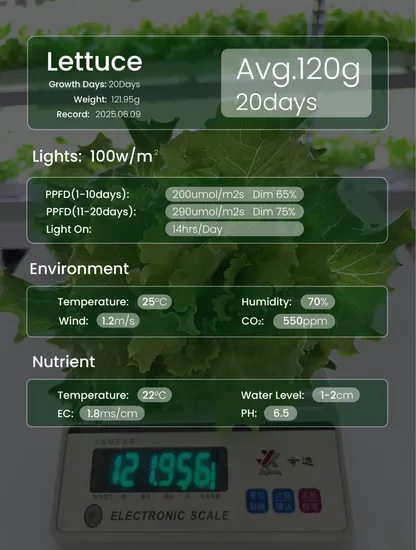 NFT Vertical Hydroponic System with Full Spectrum LED
