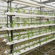 NFT Channel for Vertical Hydroponic Systems