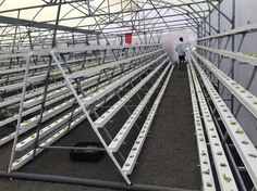 食品级 NFT 营养液槽，适用于垂直水培系统