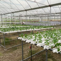 NFT Channel for Vertical Hydroponic Systems